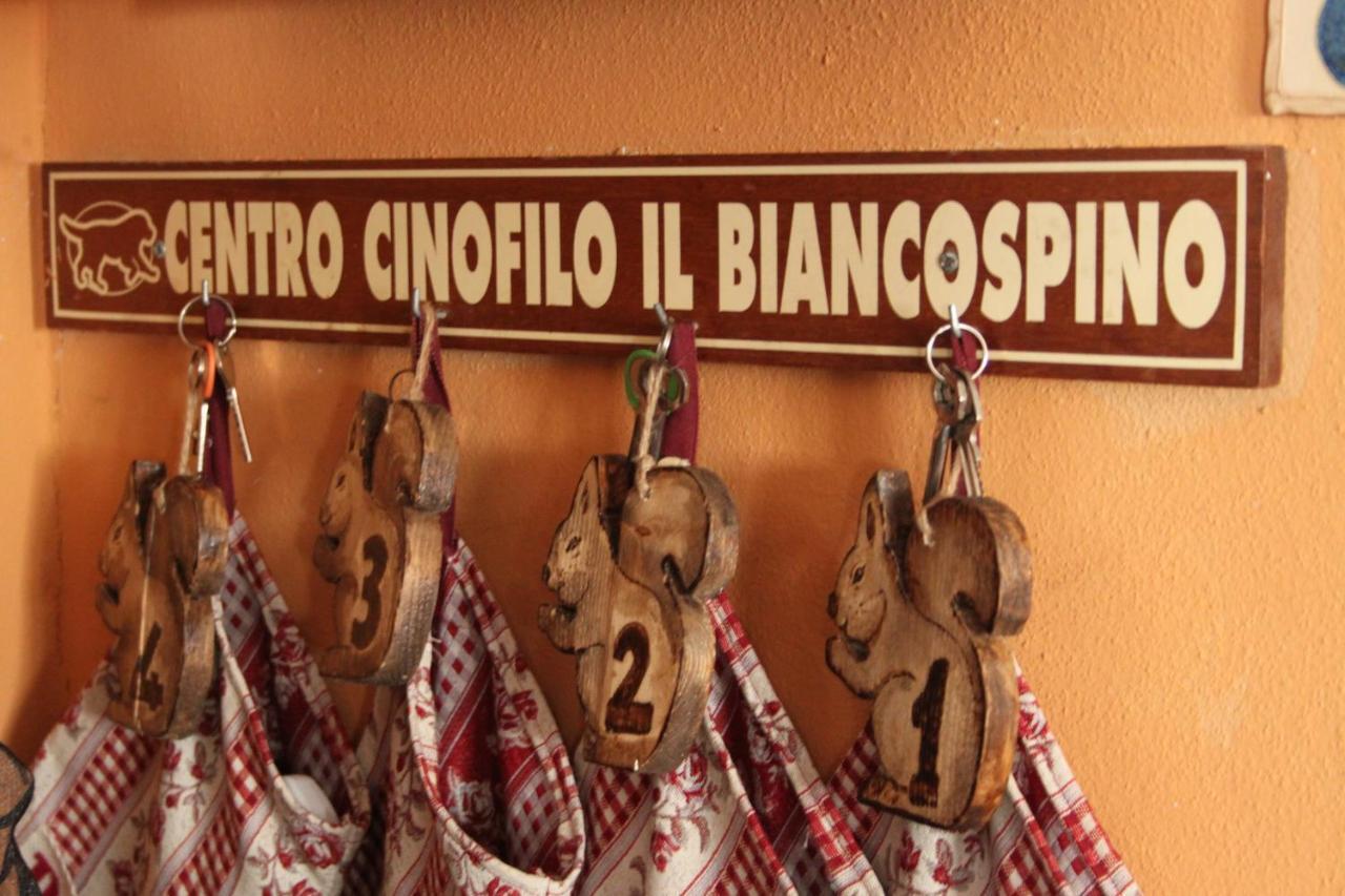 فيلا Il Biancospino Casteggio المظهر الخارجي الصورة